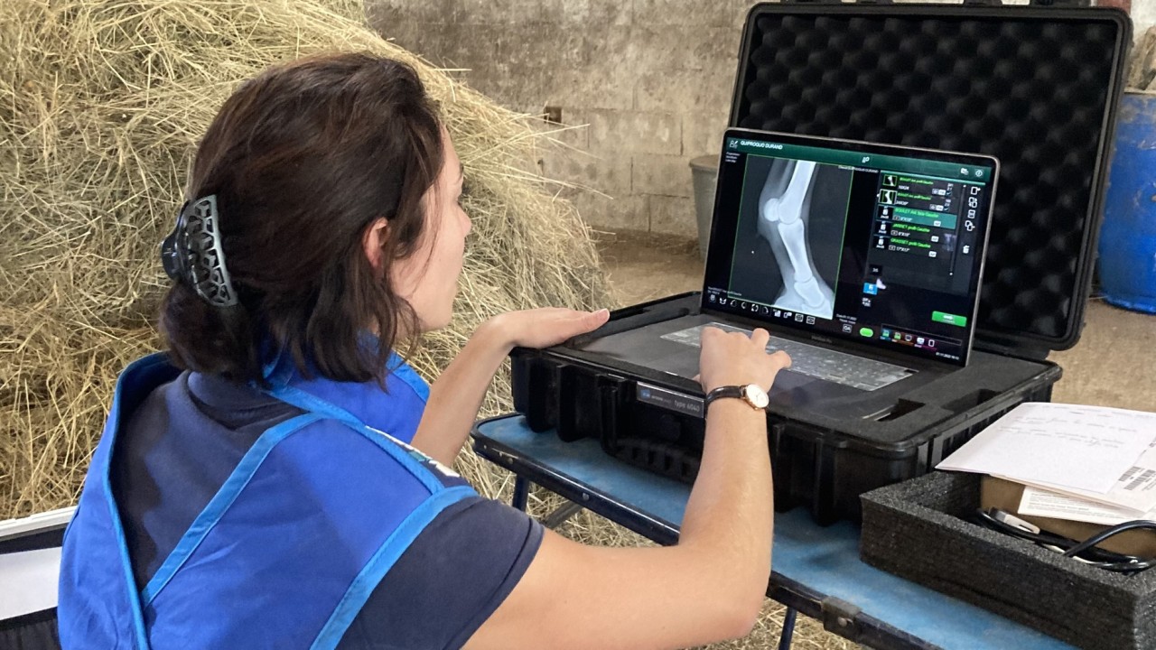 DV Marion Durand pratiquant une radio équine